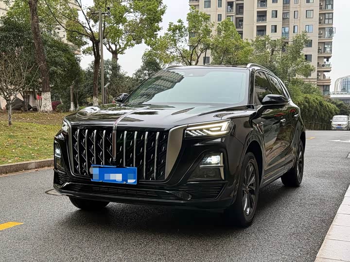 Hongqi HS5 2025 2.0 T 2 WD Pro