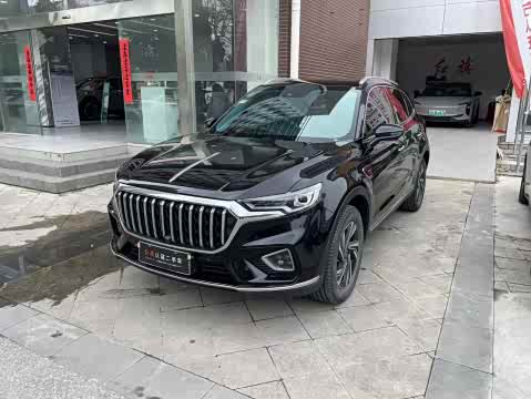 Hongqi HS5 2022 2.0 T — фото 15