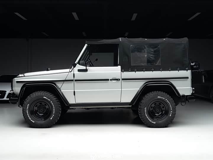 Mercedes-Benz G-Class 2016 G 250 GD — фото 5