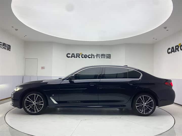 BMW 5-Series 2021 530 Li Leading M — фото 8