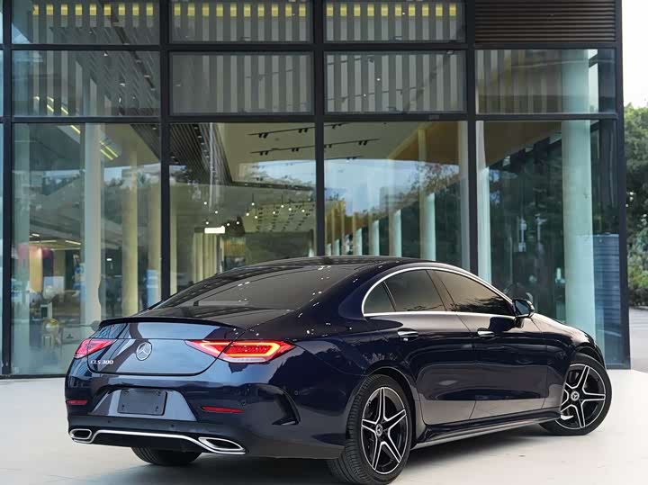 Mercedes-Benz CLS 2021 CLS 300 Luxury — фото 18