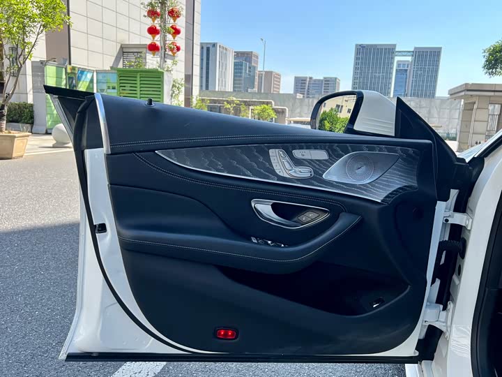 Mercedes-Benz CLS 2021 CLS 300 Luxury — фото 12