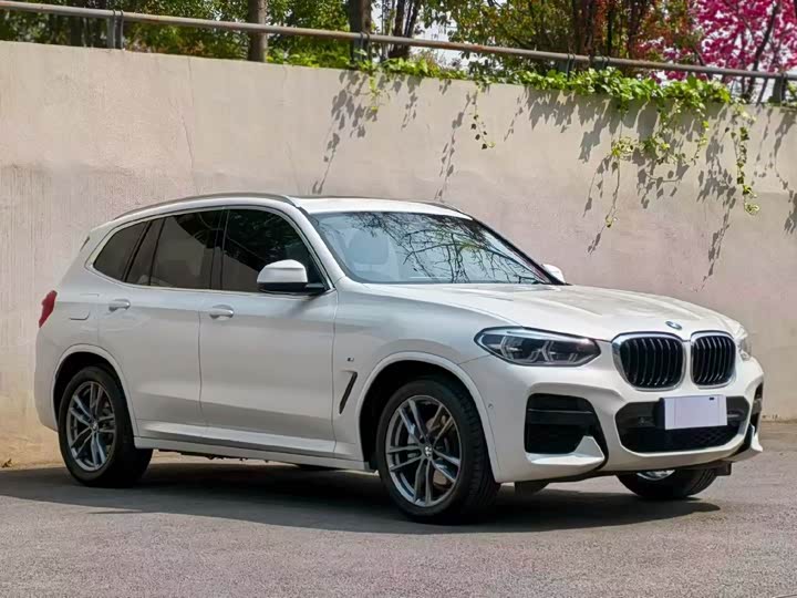 BMW X3 2020 x Drive 25i M — фото 3