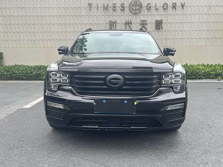 Trumpchi GS8 2017 320 T 2 WD ( ) — фото 2