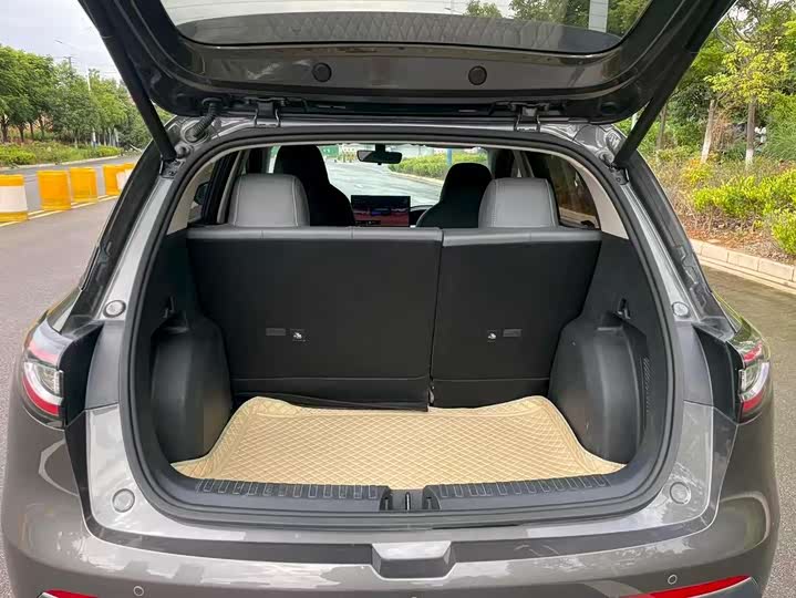 Geely Galaxy Starwish — фото 8