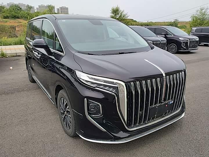 Hongqi HQ9 PHEV 2024 2.0 T 4 WD — фото 4