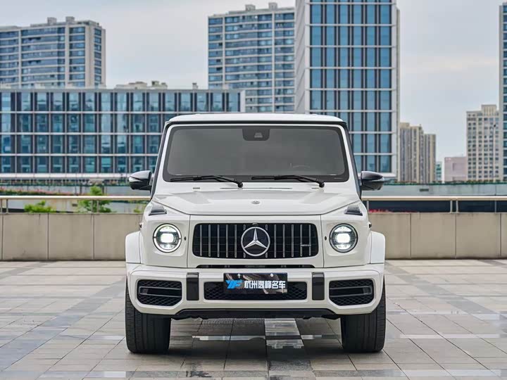 Mercedes-Benz G-Class 2019 G 500 — фото 2