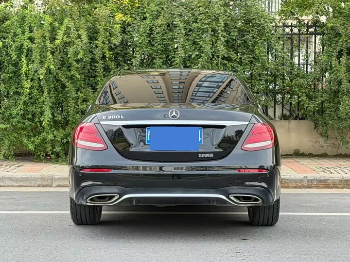 Mercedes-Benz E-Class 2020 E 300 L Luxury — фото 8