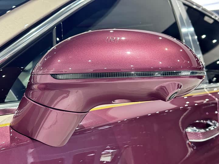 Hongqi Guoya — фото 12