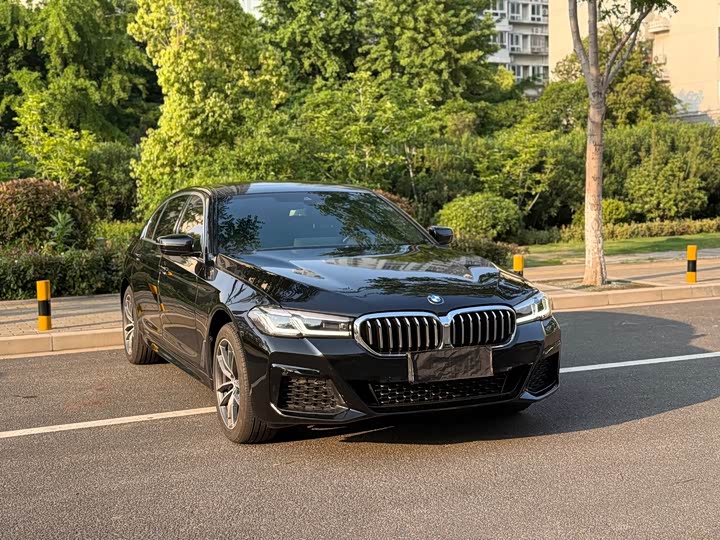 BMW 5 Series 525Li люкс-пакет — фото 3