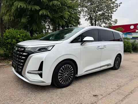 Denza D9 2024 DM-i 970 Luxury — фото 10