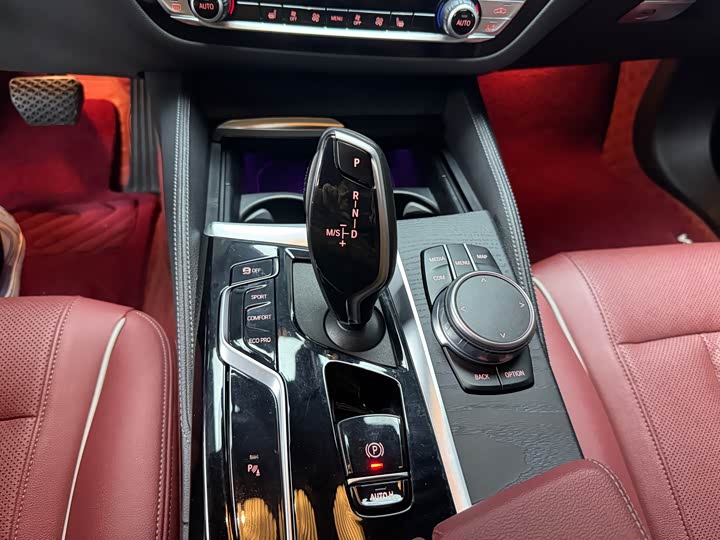 BMW 5-Series 2021 530 Li Leading M — фото 15