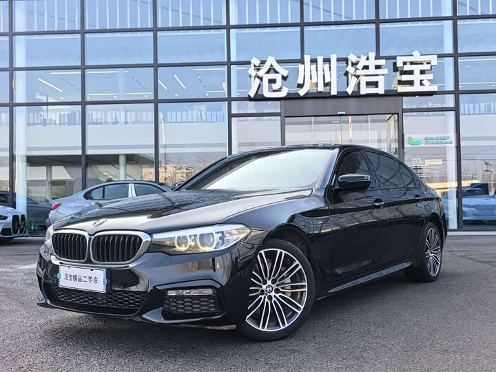 BMW 5-Series 2018 530 Li Leading M — фото 1