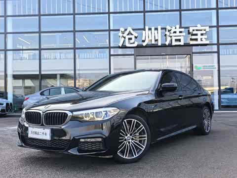 BMW 5-Series 2018 530 Li Leading M — фото 15