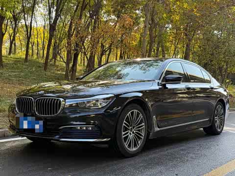 BMW 7-Series 2016 730 Li Leading — фото 20