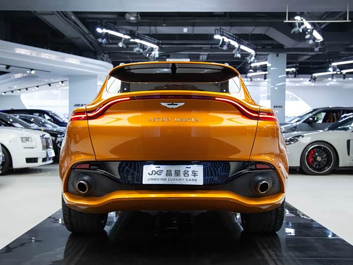 Aston Martin DBX 2022 3.0 T STRAIGHT-SIX — фото 15
