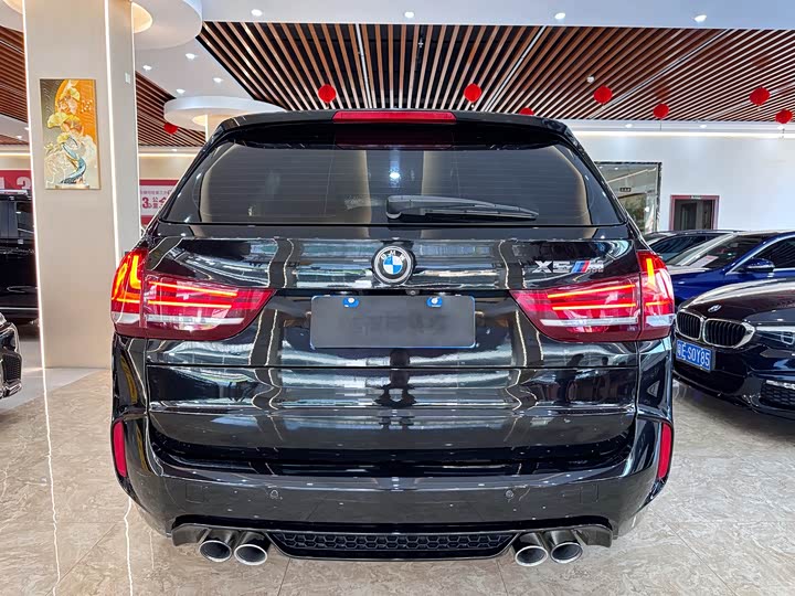 BMW X5 M 2015 X 5 M — фото 5