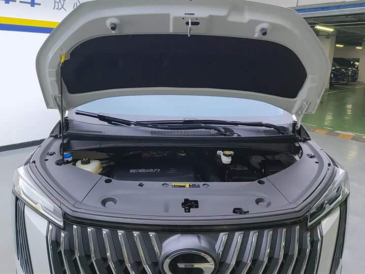 Trumpchi M8 2024 400 T — фото 10