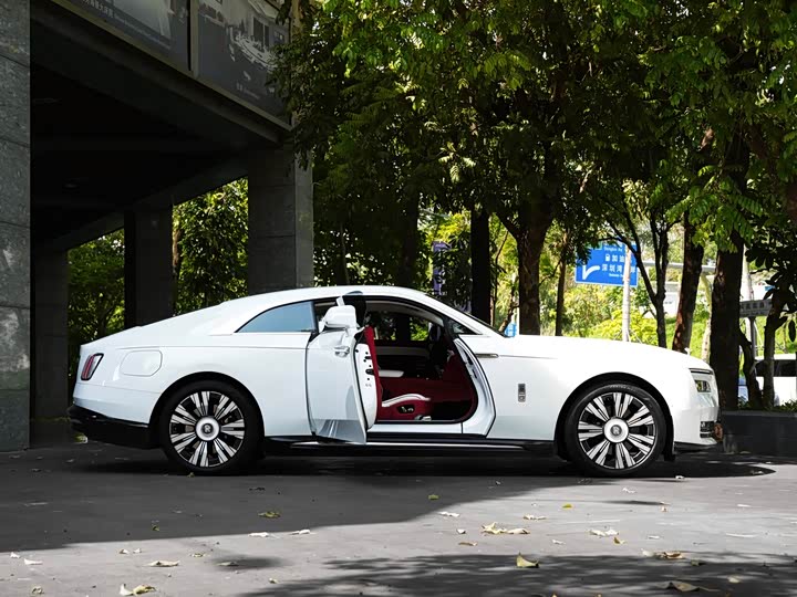 Rolls-Royce Spectre — фото 19