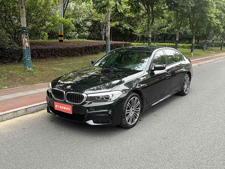 BMW 5-Series 2019 530 Li Leading M — фото 1