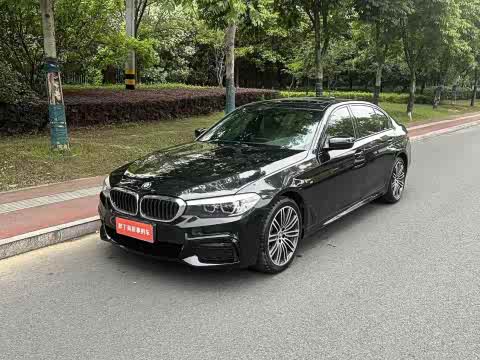 BMW 5-Series 2019 530 Li Leading M — фото 12