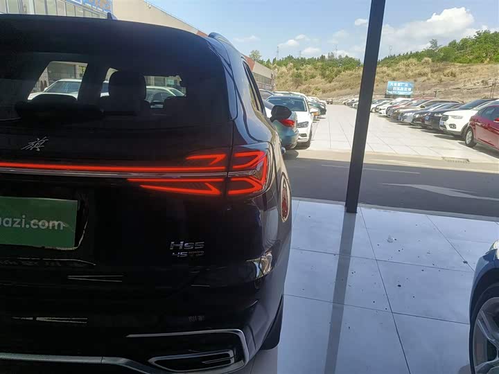Hongqi HS5 2023 2.0 T 4 WD Pro — фото 8