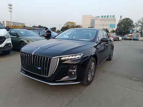 Hongqi H5 2024 1.5 T DCT — фото 24