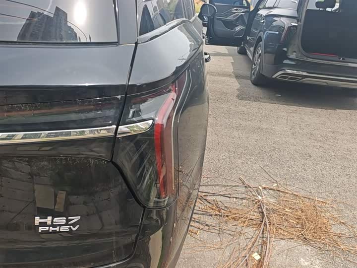 Hongqi HS7 PHEV 2024 2.0 T PHEV 4 WD 6 — фото 8