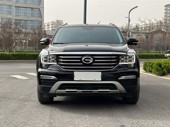 Trumpchi GS8 2017 320 T 2 WD ( ) — фото 2