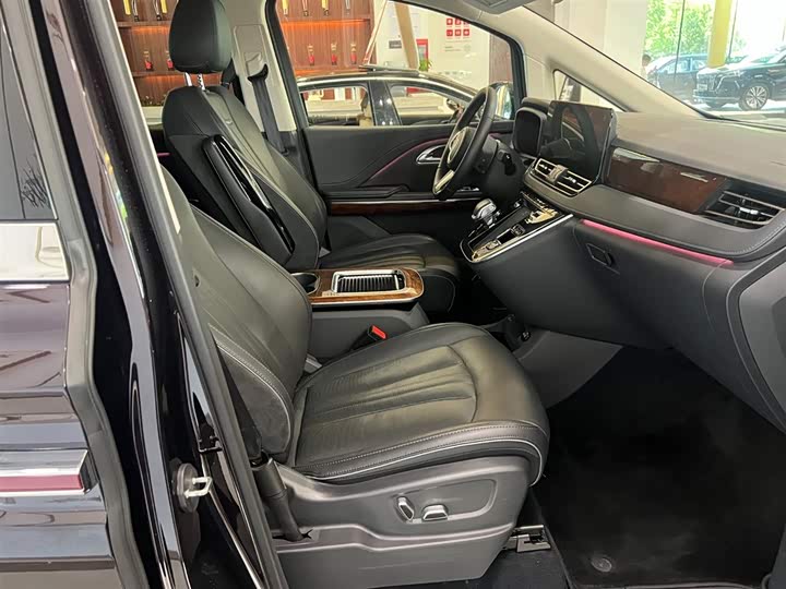 Hongqi HQ9 PHEV 2024 2.0 T 4 WD — фото 9
