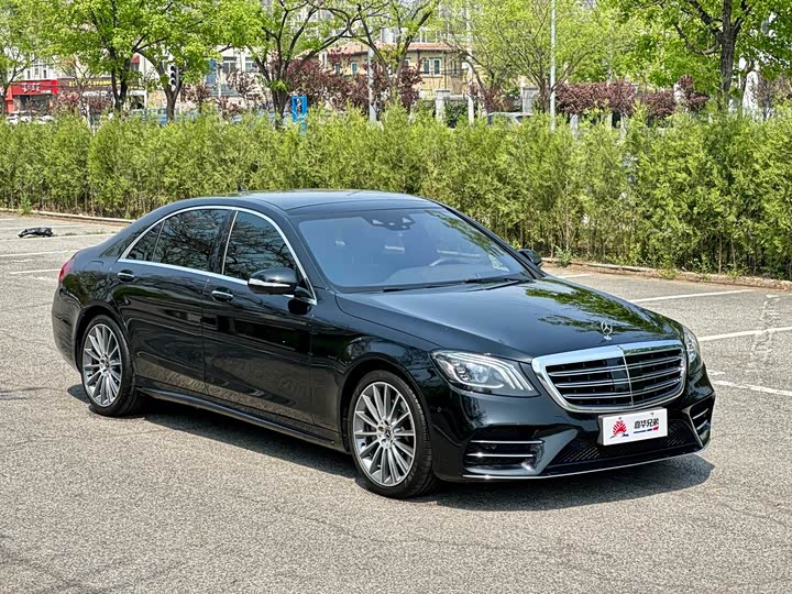 Mercedes-Benz S-Class 2019 S 450 L 4 MATIC — фото 6