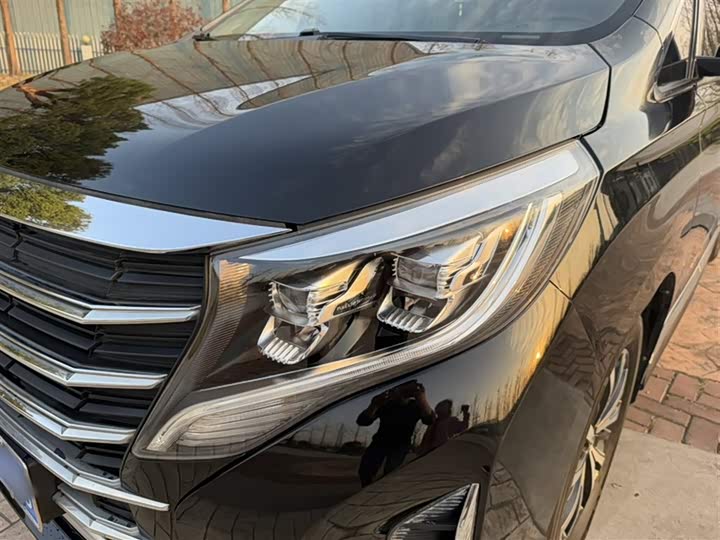 Trumpchi M8 2021 390 T — фото 18
