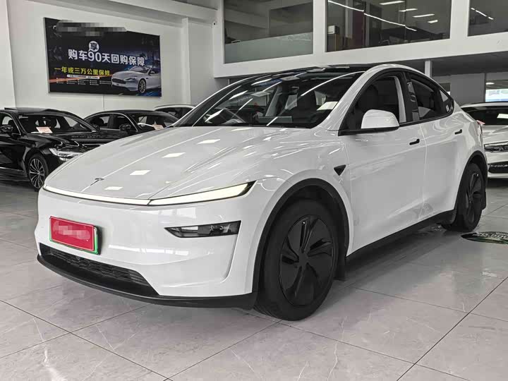 Tesla Model 2025 — фото 1