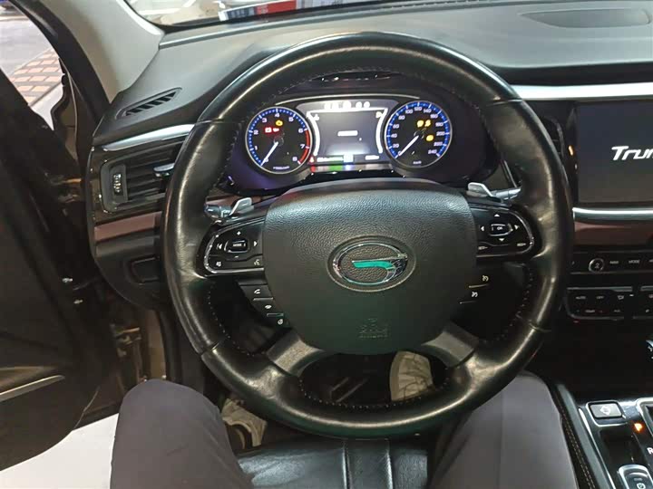 Trumpchi GS8 2017 320 T 2 WD ( ) — фото 7