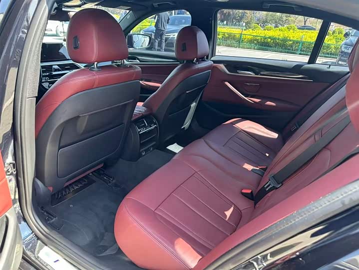 BMW 5-Series 2019 530 Li Leading M — фото 10