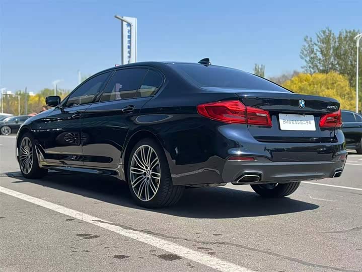 BMW 5-Series 2019 530 Li Leading M — фото 6