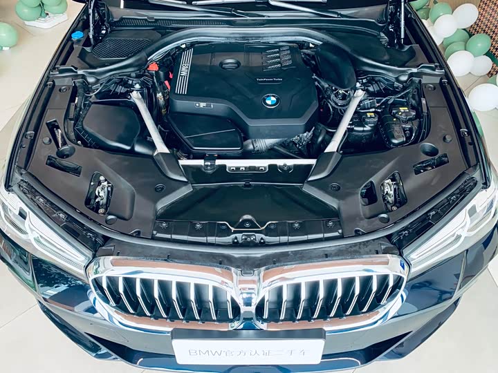 BMW 5-Series 2022 530 Li Leading M — фото 12