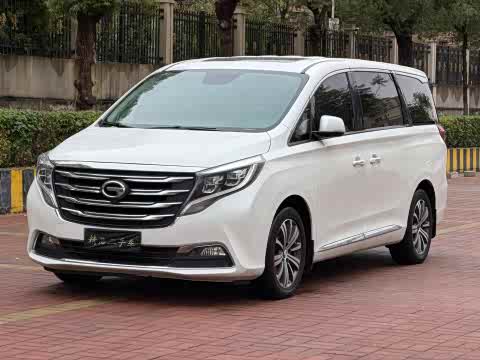 Trumpchi M8 2018 320 T — фото 26