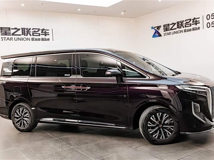 Hongqi HQ9 2024 2.0 T — фото 4