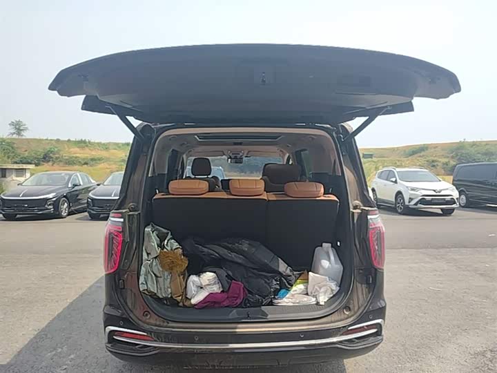 Hongqi HQ9 PHEV 2024 2.0 T 4 WD — фото 19