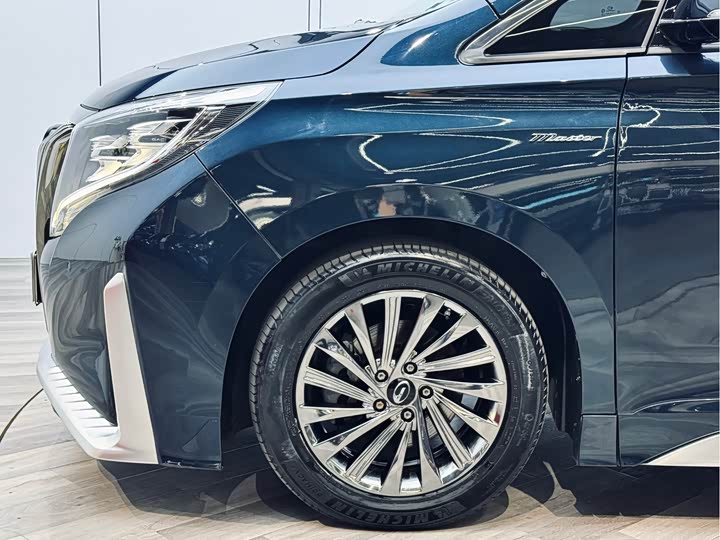 Trumpchi M8 2021 390 T — фото 14
