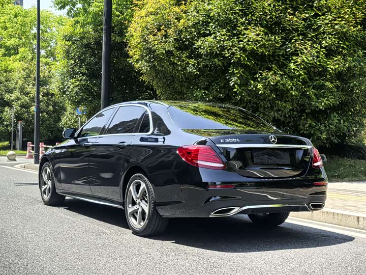 Mercedes-Benz E-Class 2019 E 300 L — фото 5