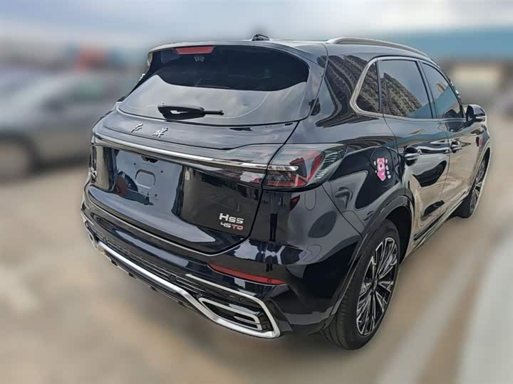 Hongqi HS5 2023 2.0 T 4 WD Pro — фото 12