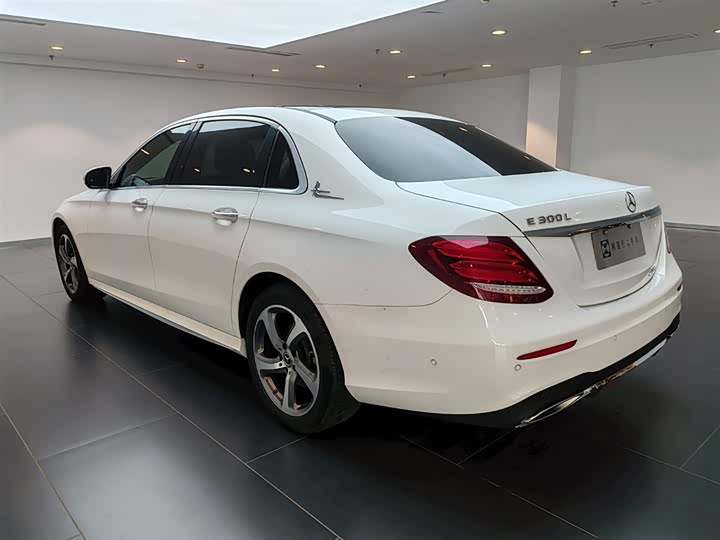 Mercedes-Benz E-Class 2019 E 300 L — фото 6