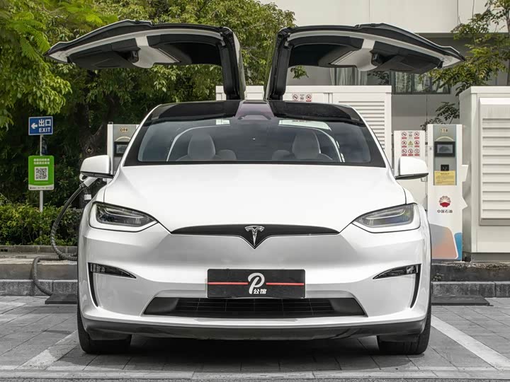 Tesla Model 2023 Plaid — фото 2