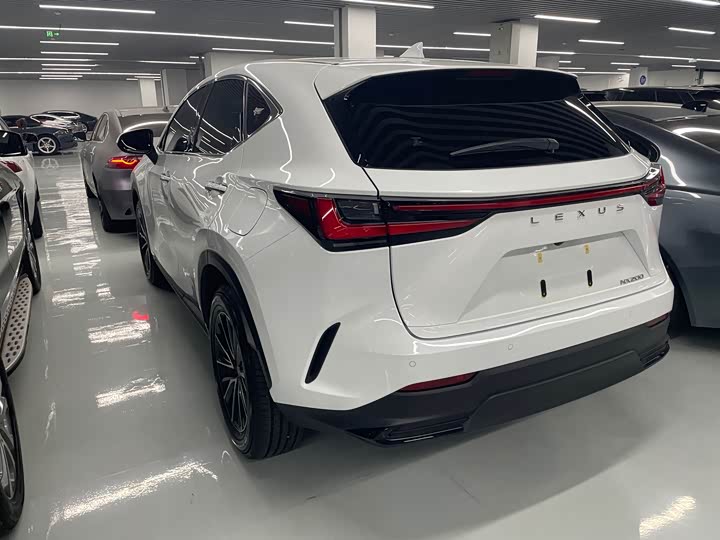 Lexus NX 2026 200 — фото 10