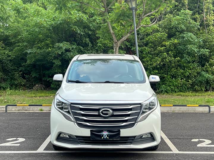 Trumpchi M8 2018 320 T — фото 2