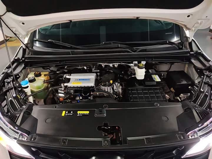 Trumpchi M6 2023 PRO 270 T DCT — фото 20