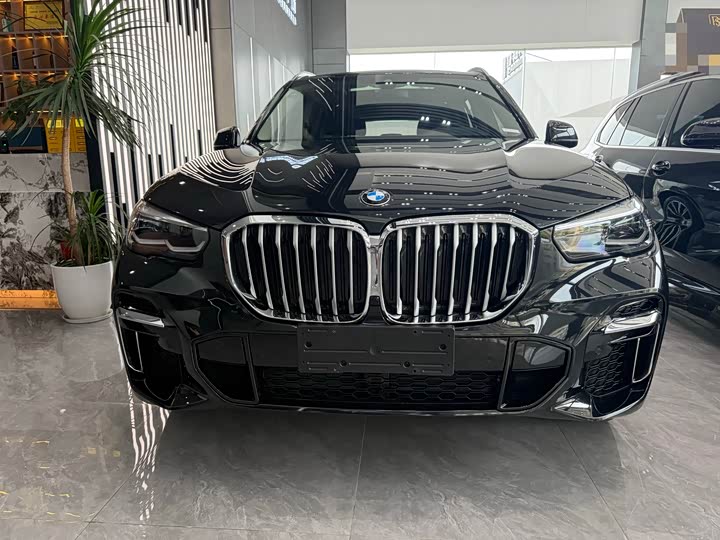 BMW X5 xDrive 30Li M спортпакет — фото 2