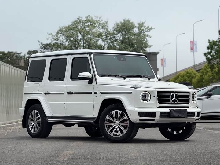 Mercedes-Benz G-Class 2019 G 500 — фото 3